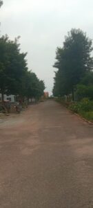 photo 2026 03 13 11 43 25(1)