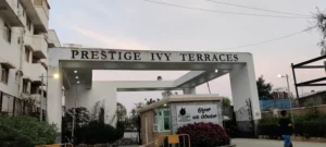 prestige ivy terraces, bellandur